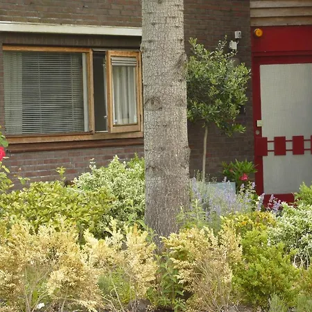 Rijnoever * Leiden